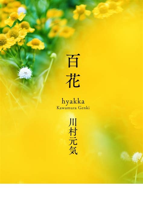 百花あらすじ|百花／川村元気のあらすじと読書感想文（ネタバレ）